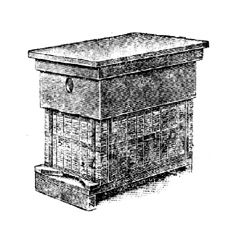 image of hive